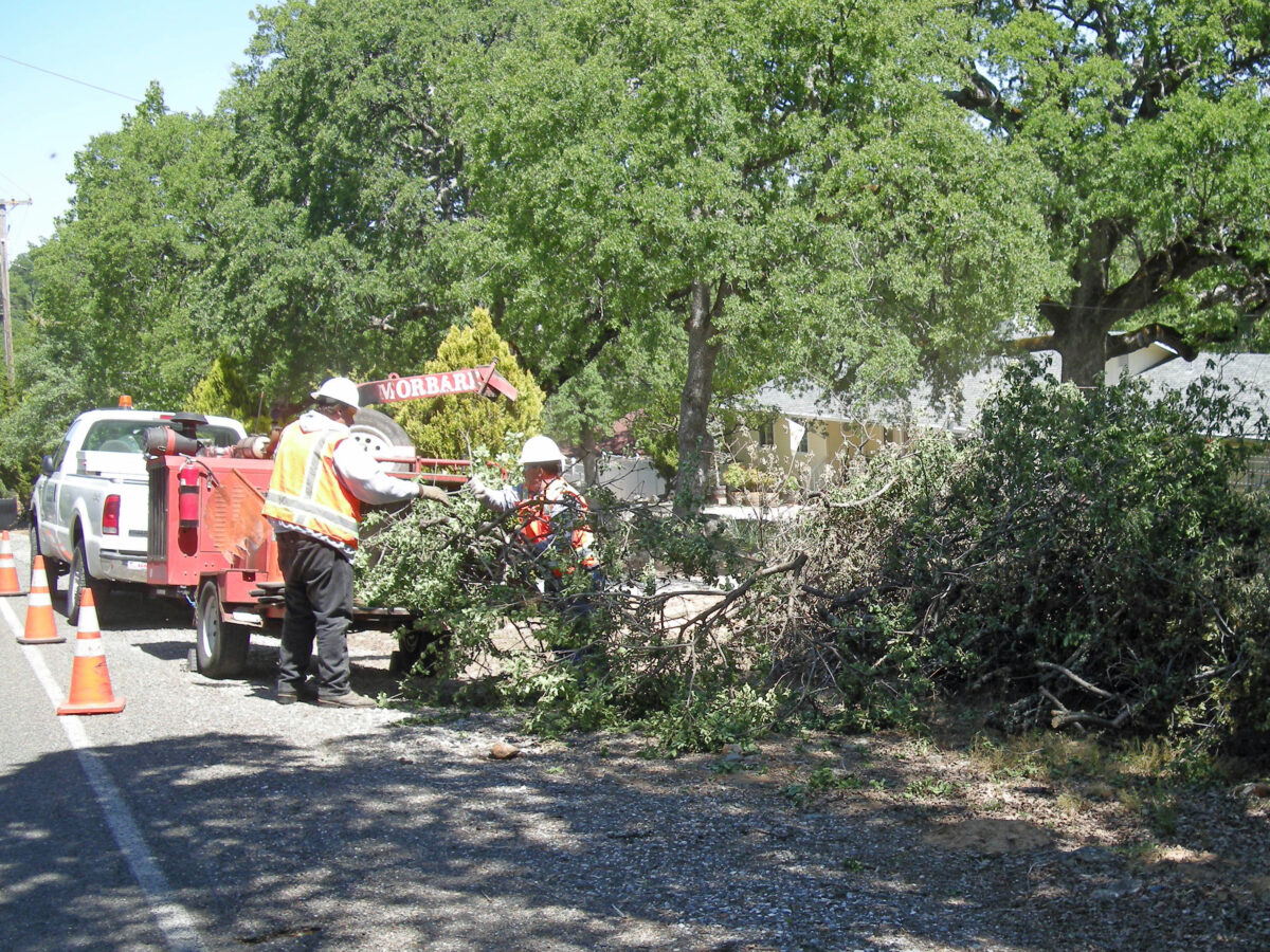 Crew chipping brush